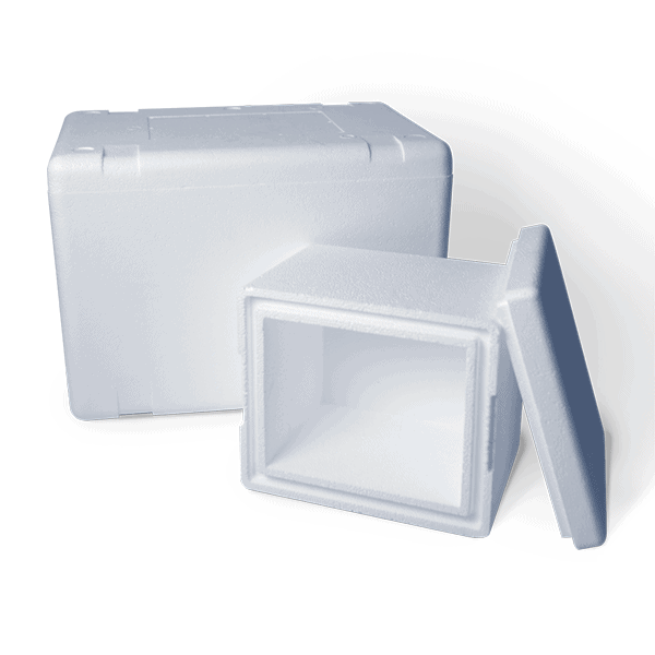 EPS Cooler - Cold Chain Packaging